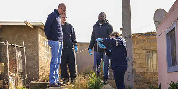 Constructed Wetlands